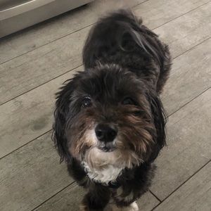 Meet your Posher, Brooke